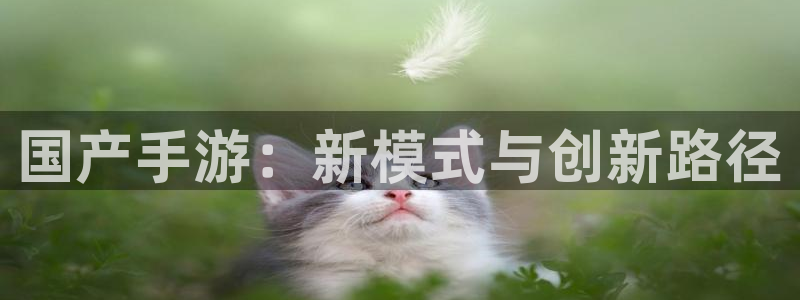 豪门国际开奖走势：国产手游：新模式与创新路径