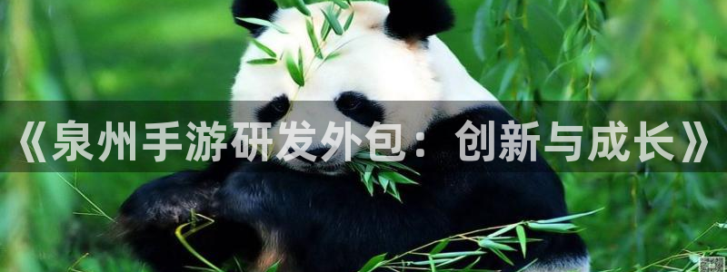 豪门国际云集预测网：《泉州手游研发外包：创新与成长》