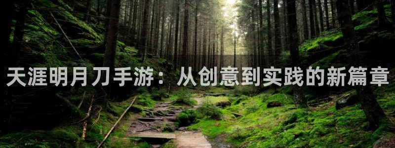 28大神app怎么下载：天涯明月刀手游：从创意到实践的新篇章