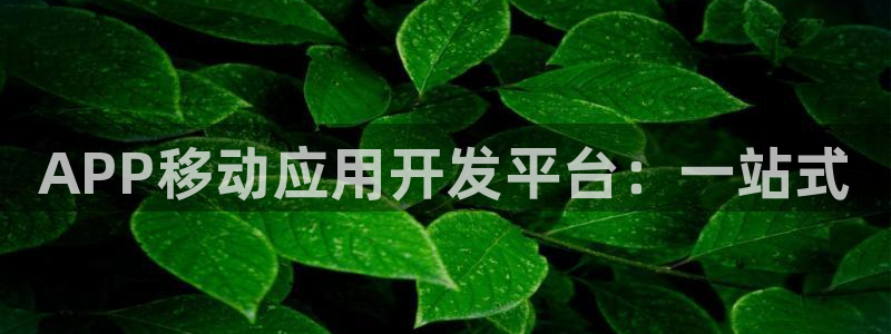 豪门国际预测官网：APP移动应用开发平台：一站式