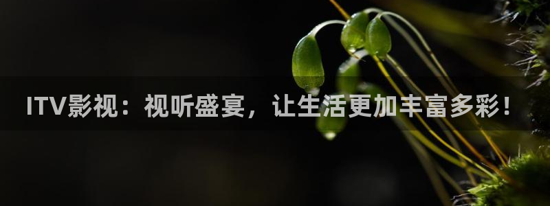 老子影院免费高清电视剧观看：ITV影视：视听盛宴，让生活更加丰富多彩！