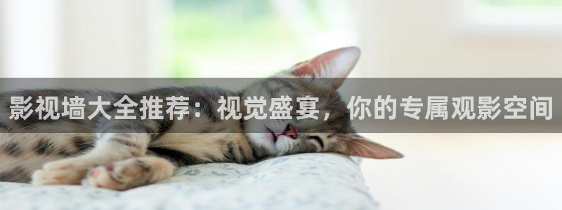 神马午夜老子影院：影视墙大全推荐：视觉盛宴，你的专属观影空间