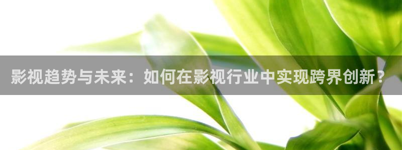 老子的电影：影视趋势与未来：如何在影视行业中实现跨界创新？